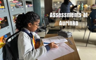 Assessments at Aurinko