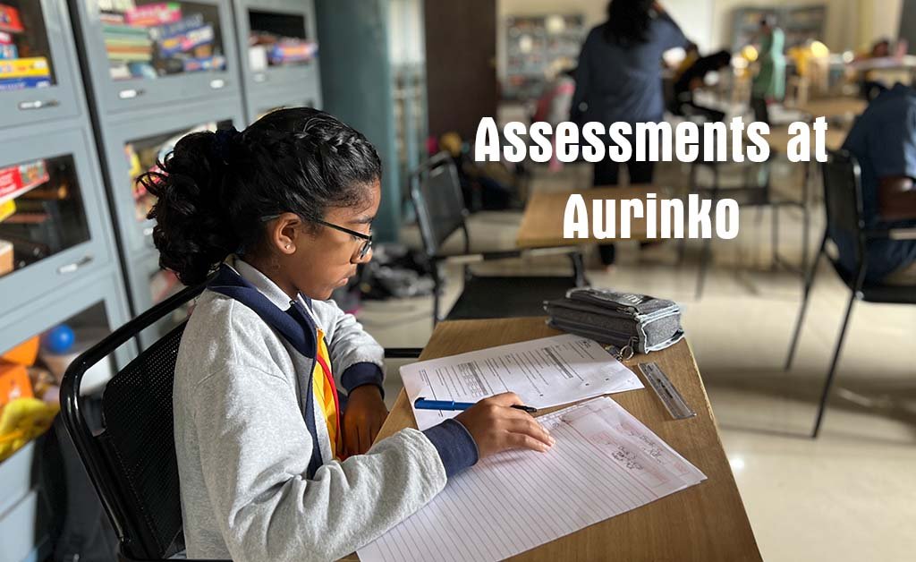 Assessments at Aurinko