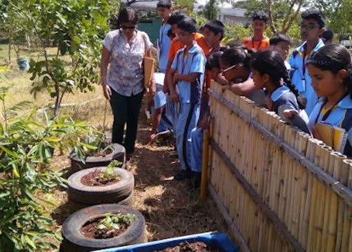 imgi_10_Global-and-Environmental-Exploration-1