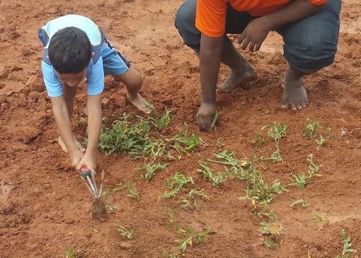 imgi_11_Global-and-Environmental-Exploration-2