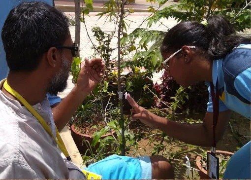 imgi_12_Global-and-Environmental-Exploration-3