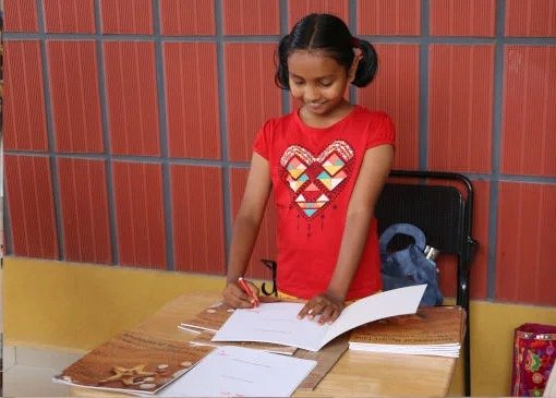 imgi_15_Multiple-Perspectives-and-Differentiated-Learning-Styles-1